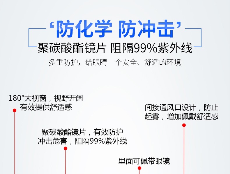 3M 1621 防化学护目镜