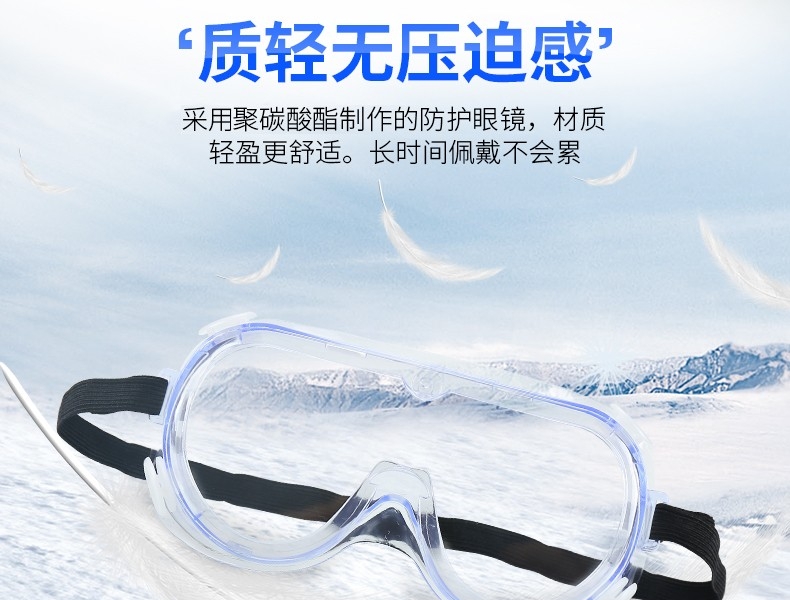 3M 1621 防化学护目镜