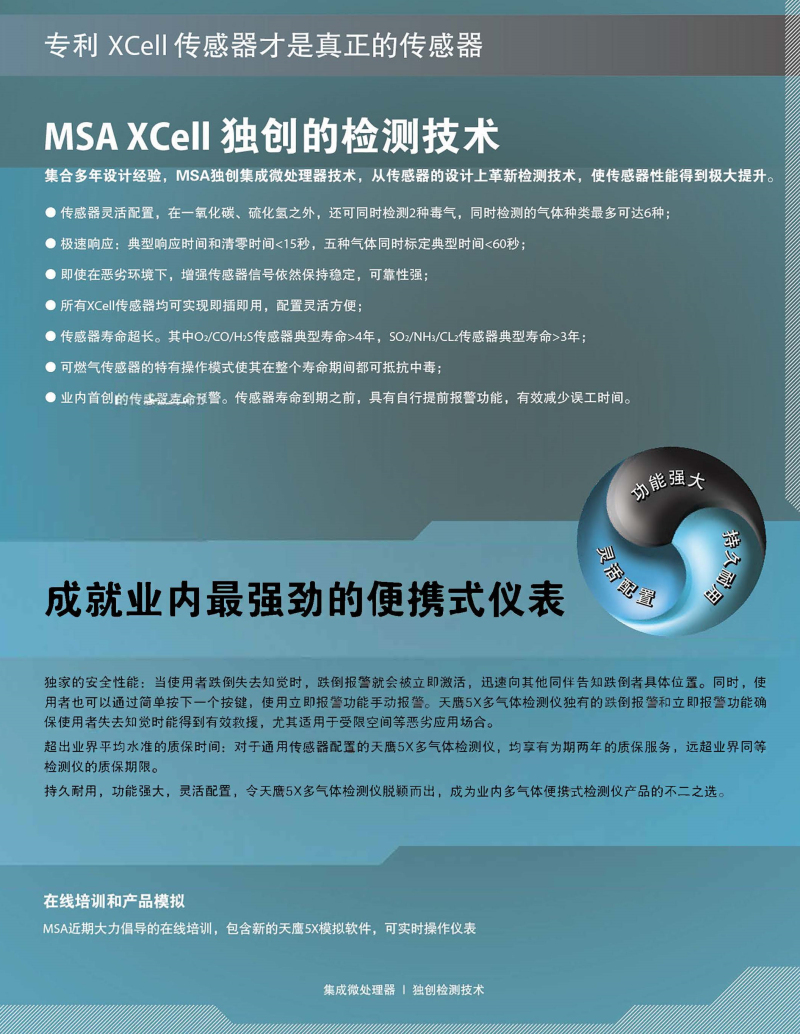 MSA/梅思安10125233天鹰5X多种气体检测仪 可燃气+氧气+一氧化碳+硫化氢 （LEL/O2/CO/H2S/泵/单色屏）