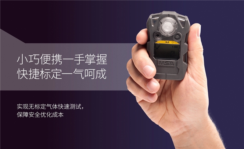 MSA/梅思安 10162581（进口版）天鹰2X 单一便携式气体检测仪H2S