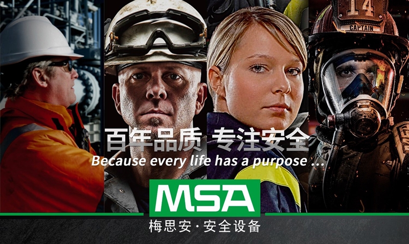 MSA/梅思安 10161477（进口版） 天鹰2XT 双气体检测仪 CO/H2S（一氧化碳/硫化氢）