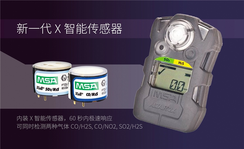 MSA/梅思安 10161477（进口版） 天鹰2XT 双气体检测仪 CO/H2S（一氧化碳/硫化氢）