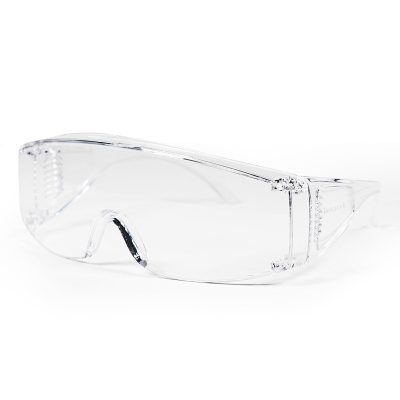 Honeywell 100002 VisiOTG-A Transparent Anti Fogging Lens Visitor Glasses